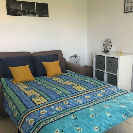 Appartement Au Milieu Des Lacs, Au Bord Du Guiers Aoste Luaran gambar