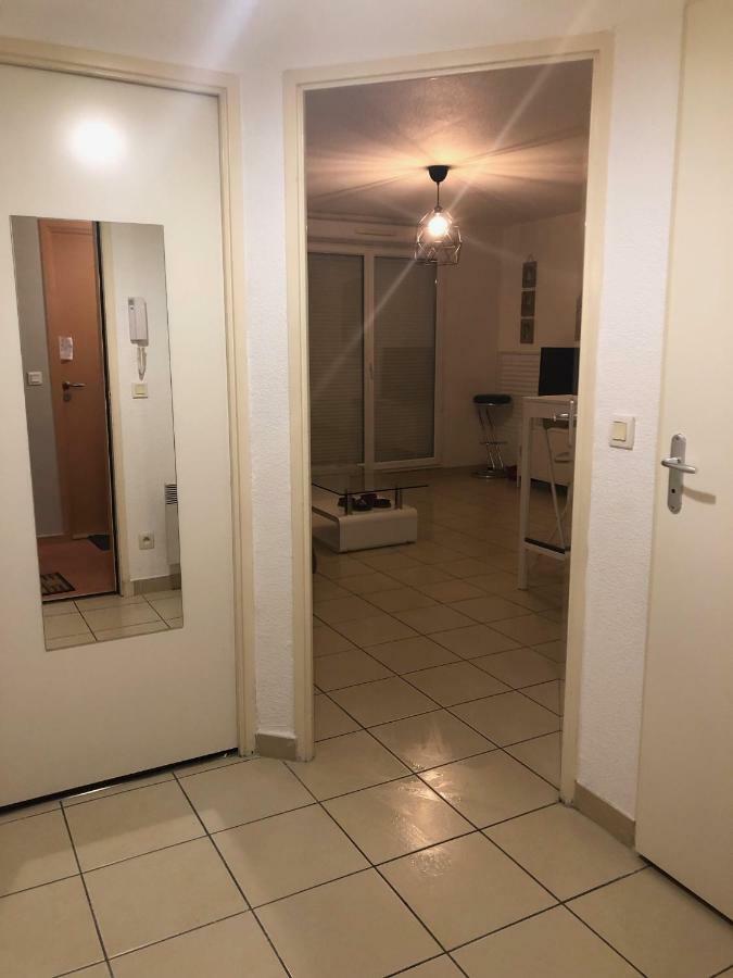 Appartement Au Milieu Des Lacs, Au Bord Du Guiers Aoste Luaran gambar