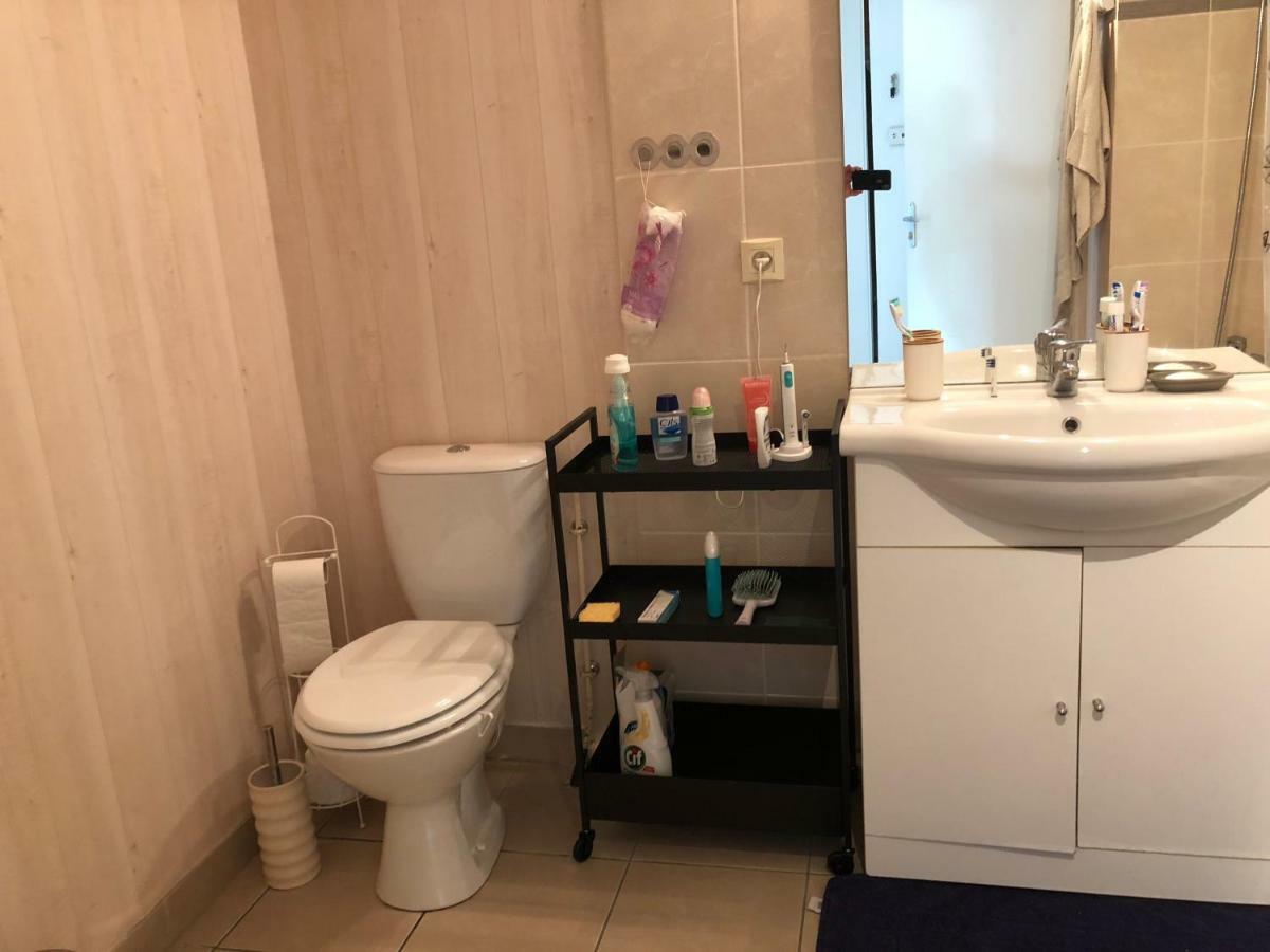 Appartement Au Milieu Des Lacs, Au Bord Du Guiers Aoste Luaran gambar